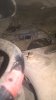 WP_20171116_10_33_37_Pro.jpg