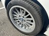 IMG_8219.jpeg