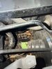 IMG_3993.jpeg