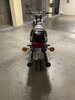 IMG_2781.jpeg