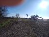 IMG_20241201_132545579.jpg