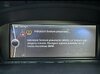 IMG_3234.jpeg