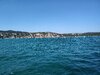 IMG_20250814_164053241.jpg