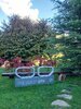 20250927_094534.jpg