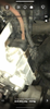 IMG_7565.png