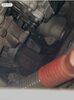 IMG_7564.jpeg