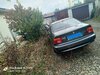 IMG_20251010_114427_925.jpg