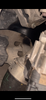 IMG_2055.png