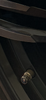 IMG_1864.png