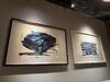 IMG_0929.jpeg