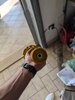 PXL_20260610_164756923.jpg