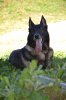 DSC_0071.JPG