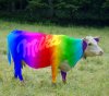 Milka_lsd-1.jpg
