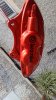 IMG_20160529_123737.jpg