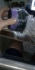 WhatsApp Image 2018-12-08 at 07.49.02.jpeg