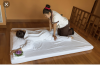 IMG_20190418_180354.png