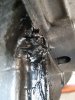 20190517_105827.jpg