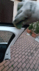 20190605_210239_1.gif