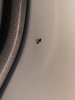20190619_211403.jpg