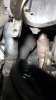 IMG-20190910-WA0019.jpeg