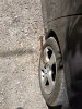 IMG_20190805_104437.jpg