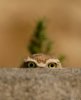 IMG-20181002-WA0021.jpg