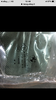 7B6F3B67-E500-427A-8A19-EF0D8E6BBE26.png