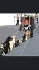 upload_2019-11-7_21-31-17.jpeg