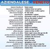 IMG-20191208-WA0000.jpg