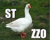 53F8D160-03E0-447A-9B93-339D15641376.jpeg