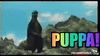upload_2020-2-3_9-24-29.gif