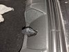IMG_20200218_075641.jpg