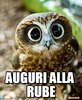 GUFO-RUBE.JPG