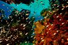 8B5259D3-E331-41DA-A332-DF1196656542.jpeg