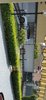 IMG-20200411-WA0011.jpeg