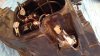 IMG-20160812-WA0006.jpeg