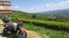 IMG-20200719-WA0010.jpeg