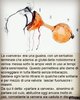 FB_IMG_1595892119915.jpg