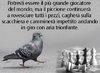 1C7AAE02-E9A0-4EC0-9E12-A9F5F0BD8EBF.jpeg
