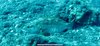 EC59D487-135B-44DD-AC03-D9E4A33A08D9.jpeg