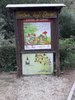 20200827_075040.jpg