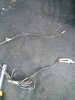 IMG_20201027_101618.jpg
