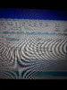 20201103_110554.jpg