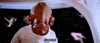 upload_2020-11-8_5-39-55.gif