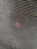 IMG_20201001_175224.jpg