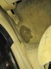 IMG_20201204_183725.jpg
