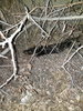 20191030_183653.jpg