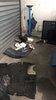 IMG-20201228-WA0005.jpg