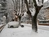 20180227_070807.jpg
