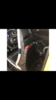 Abarth2.png